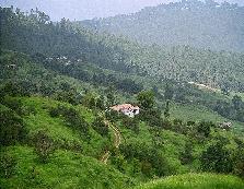 rooms on rent near ranikhet