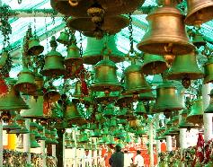 homestay near ranikhet