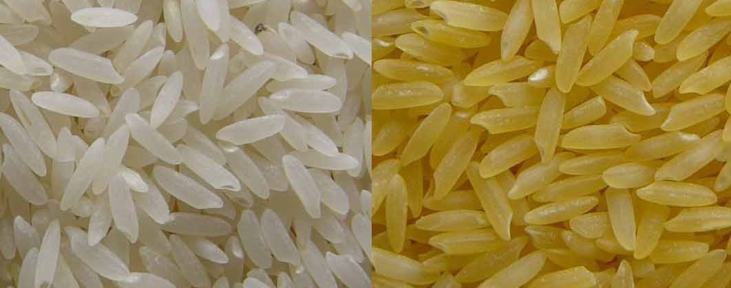 jhingora red desi rice in purola-rudrapur-uttarakhand