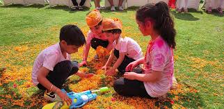 holi package for corporate group in jim corbett