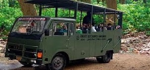 info to book safari for kids in jim corbett november- october